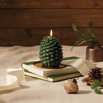 Thymes Frasier Fir Petite Molded Pinecone Candle on Stack of Books